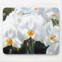 Glowing White Phalaenopsis Orchids mousepads by ElainePlesser Glowing White Phalaenopsis Orchids mousepads