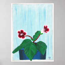Gloxinia African Violet Flower Poster