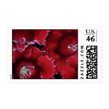 Gloxinia blossoms flowers postage stamps