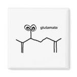 Glutamate Neurotransmitter magnets