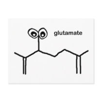 Glutamate Neurotransmitter Post Card