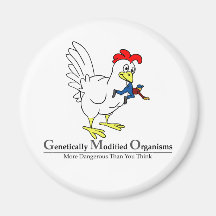 GMO Chicken Magnets