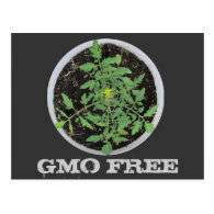 GMO FREE Heirloom Tomato Plant Peace Sign Postcards