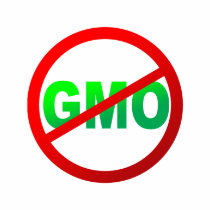 GMO - None Genetically Modified Shirt by TWLGroup GMO - None Genetically Modified Shirt