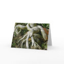 Gnarled Roots Note Card by CarolsCamera Gnarled Roots Note Card