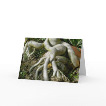 Gnarled Roots Note Card