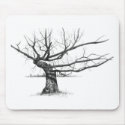 GNARLY OLD TREE: PENCIL REALISM ART mousepads