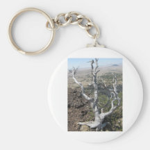 Gnarly Tree Key Chains