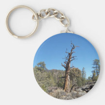 Gnarly Tree Keychains