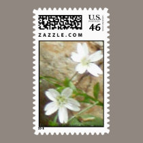 Gnat Creek Flowers #2 stamps