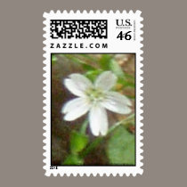 Gnat Creek Flowers #2 stamps