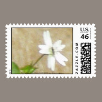 Gnat Creek Flowers #2 stamps
