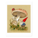 Gnome find a Ladybug and Mushroom Post Card
