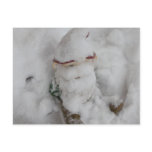 Gnome in Snow. postcards
