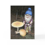 Gnome In The Garden Greeting Card