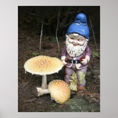 Gnome In The Garden Photo Print print