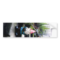 Gnome Stairs Bumper Stickers