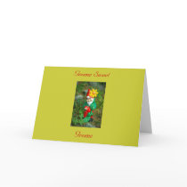Gnome Sweet Gnome cards