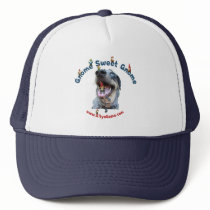 Gnome Sweet Gnome Dog Mesh Hats