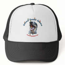 Gnome Sweet Gnome Dog Hat