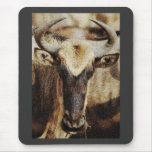 Gnu / wildebeest textured sandstone effect mousepads