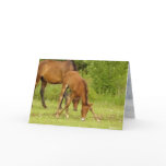 "Go baby, GO! Greeting Card