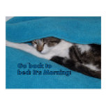 go back to bed CARD postcards