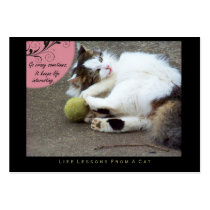 Go Crazy Life Lessons from a Cat ACEO Art Cards Business Card Templates