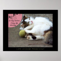 Go Crazy Life Lessons from a Cat Fine Art Print