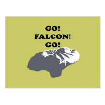 Go Falcon Go Post Cards