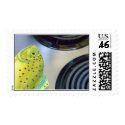 Go Fish postage