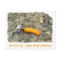 Go For It... Take that Chance postcards
