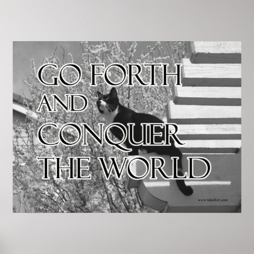 Go Forth and Conquer Motivational Cat Poster Zazzle