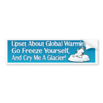 Go Freeze Yourself Bumper Sticker