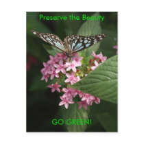 GO GREEN! Butterfly Flower Postcards