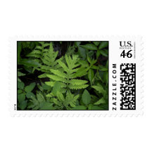 Go Green Ferns Postage Stamp