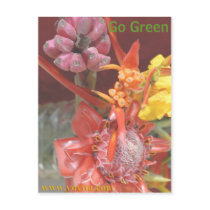 Go Green Live Green Postcard by Atelier_Yoyita Go Green Live Green Postcard