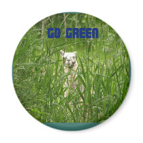 Go Green Llama Magnet by RookyStudios Go Green Llama Magnet