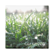 Go Green! magnets
