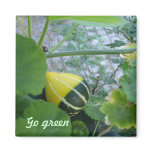 Go green refrigerator magnets