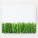 Go Green
