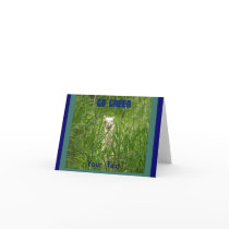 Go green Notecards by RookyStudios Go green Notecards
