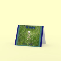Go green Notecards
