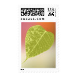 Go Green Postage Stamp