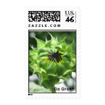 Go Green Stamps