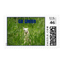 Go Green Postage Stamps