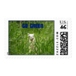 Go Green Postage Stamps