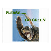 GO GREEN TURTLE POSTCARD