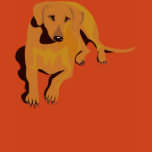 dog, canine, portrait, good, fun, loyal, play,