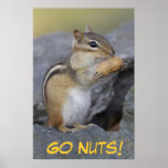 Go Nuts! posters